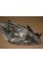 Фара правая MITSUBISHI LANCER.04-07 (DEPO). 214-1172R-LD-EM