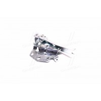 Петля капота права VW GOLF IV (TEMPEST). 1J0823302A